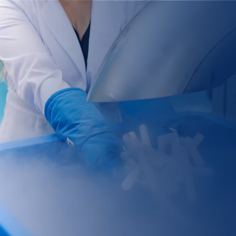 Sci-Ice
