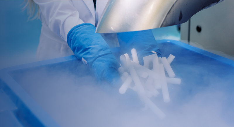 Sci-Ice